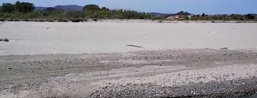 serpente spiaggia evid