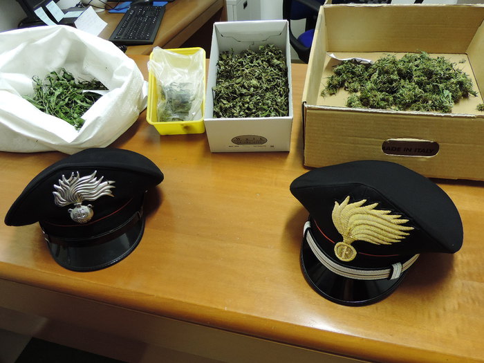marijuana Droga sequestrata dai carabinieri a Pieve di Bono