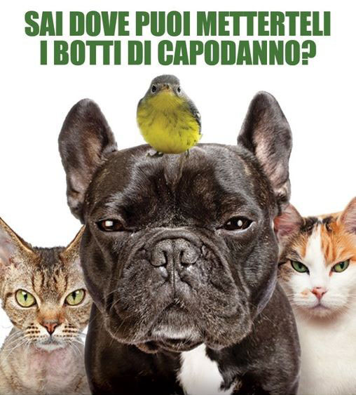 botti-capodanno