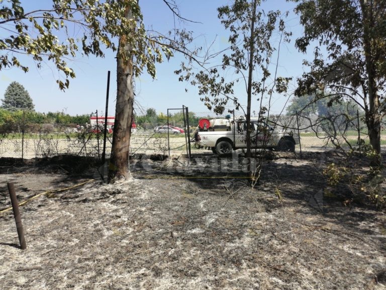 Incendio Sul Lungomare Di Caulonia Ciavula