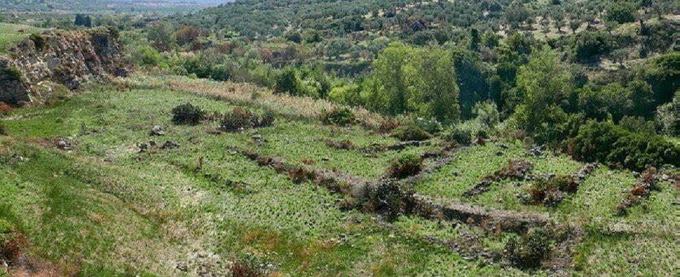 Scoperto un antico insediamento in Calabria, forse parte del Vivarium di Cassiodoro