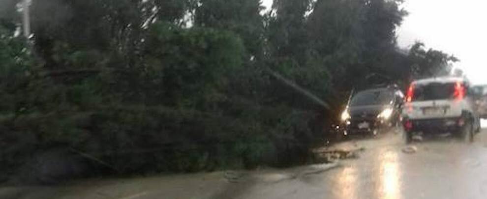 Ancora disagi a causa del maltempo sulla S.S. 106: Strade allagate e alberi caduti