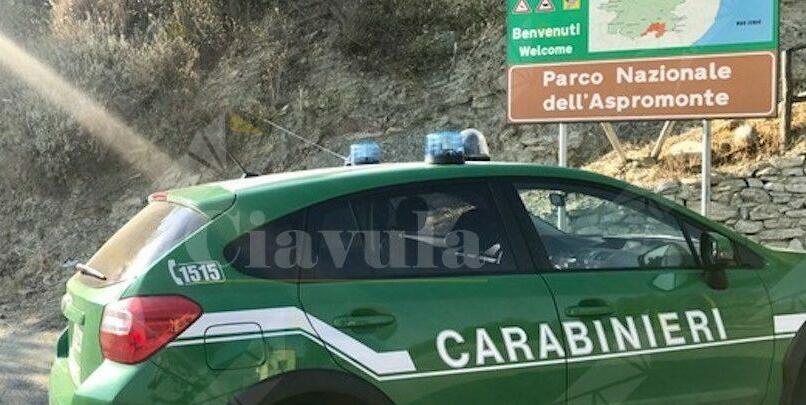 Truffa ai danni del Parco d’Aspromonte e Calabria Verde: sequestrati 15mila euro ad associazione di volontariato