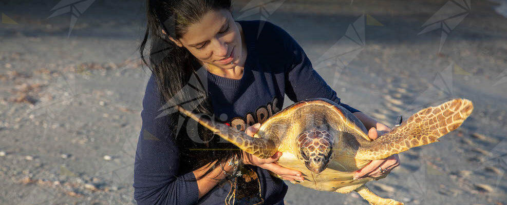 Raccolta fondi urgente: un’ambulanza per le tartarughe marine di Brancaleone