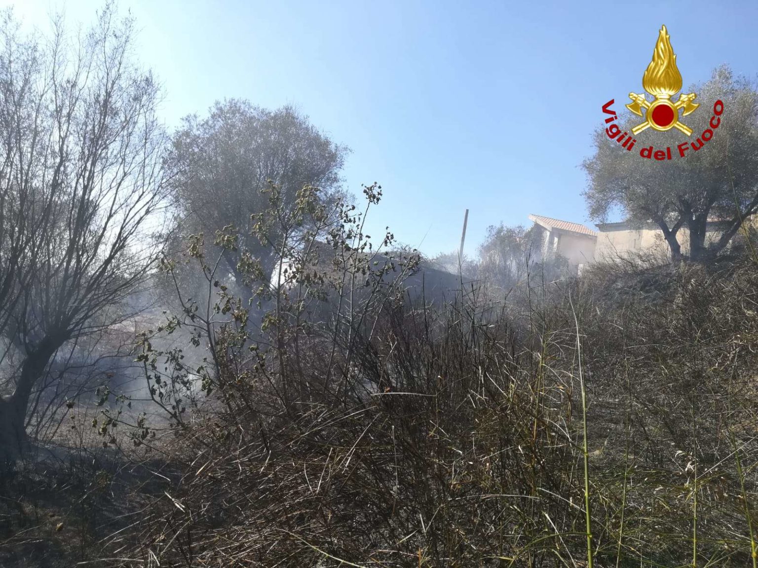 Calabria: Maxi Incendio, Bruciati Oltre Diecimila Metri Quadrati Di ...