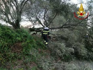 Calabria: Maxi Incendio, Bruciati Oltre Diecimila Metri Quadrati Di ...