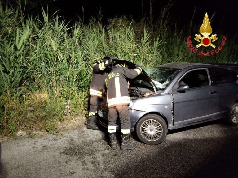 Incidente Stradale Nel Vibonese, Un Morto E Due Feriti Gravi - Ciavula