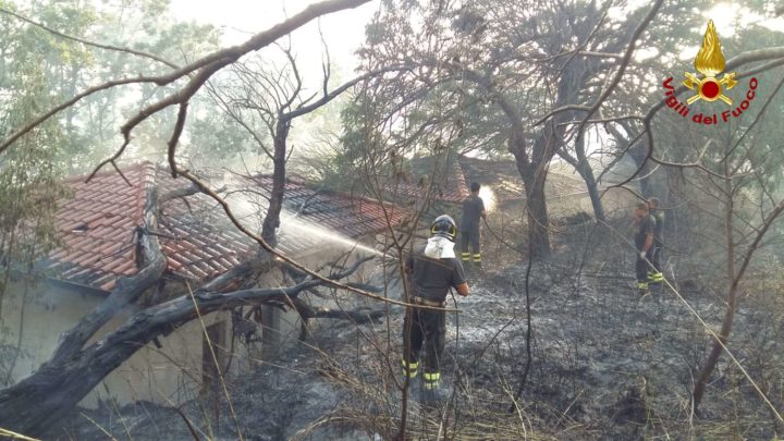 Incendi In Calabria, Ieri Bruciati Oltre 160 Mila Metri Quadrati Di ...