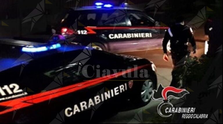 Maxi Operazione Contro La 'ndrangheta, Eseguite 108 Misure Cautelari ...