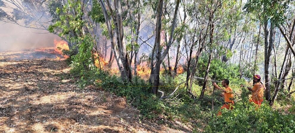 Incendio a Caulonia marina, si lotta per spegnere le fiamme