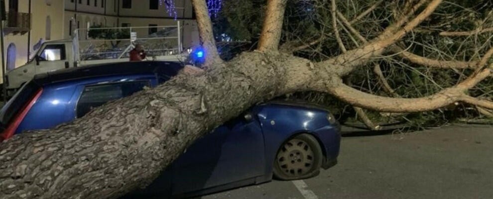 Forti raffiche di vento in Calabria: albero cade e schiaccia un’auto in sosta