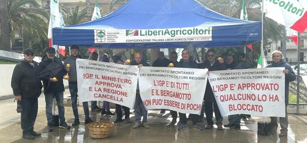 I bergamotticoltori di Reggio Calabria scrivono a Occhiuto e a Gallo