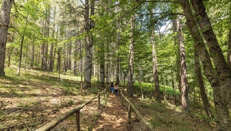 Giornata mondiale della biodiversità: da sabato le camminate organizzate dal FAI in Calabria