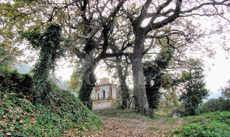 Gente in Aspromonte alla scoperta della Fortezza di Caulonia e della “Via delle Rose”