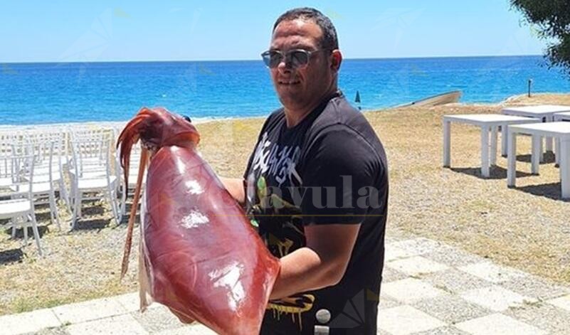 Caulonia, pescato calamaro di 22kg