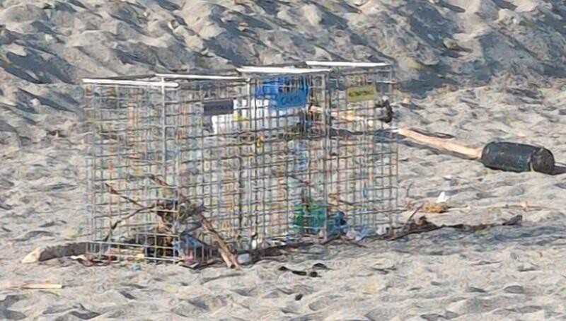 Risoluzione delle polemiche sui rifiuti a Marina di Caulonia. Un passo avanti verso la salvaguardia della Bandiera Blu