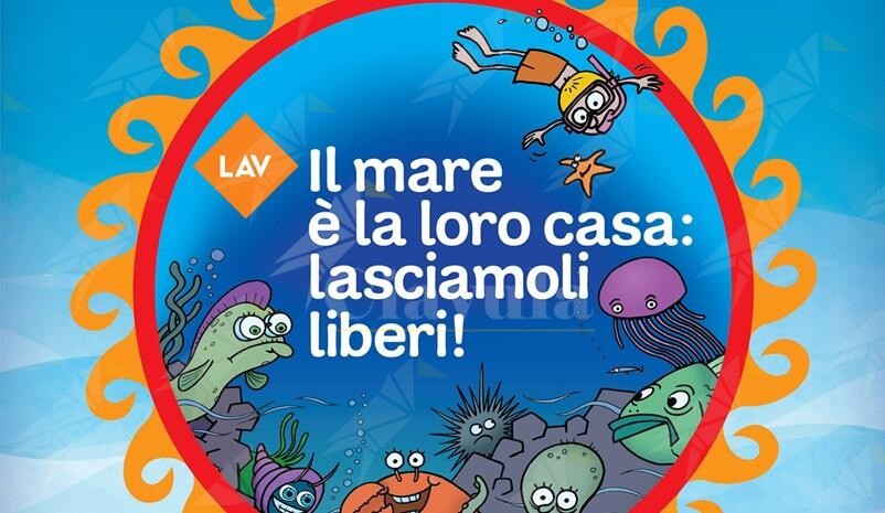 “Il Mare è la loro casa”: weekend di educazione ambientale a Bova Marina