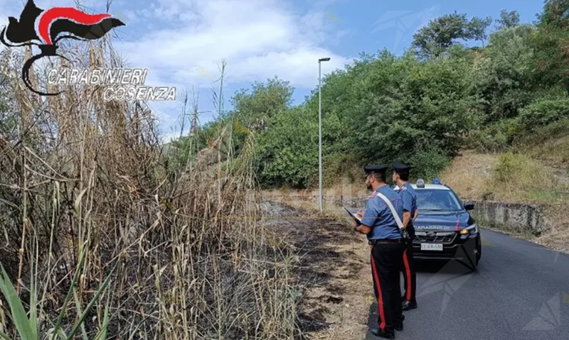 Sorpresa ad appiccare incendio vicino al bosco: arrestata piromane nel cosentino