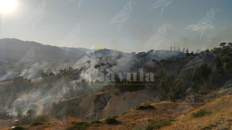 Incendio a Marano di Caulonia – VIDEO