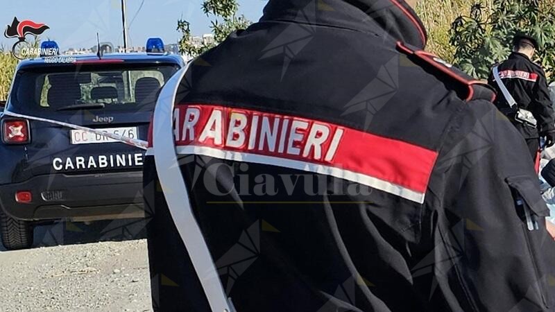 Scoperte due piantagioni di marijuana tra Caulonia e Grotteria: arrestata una coppia