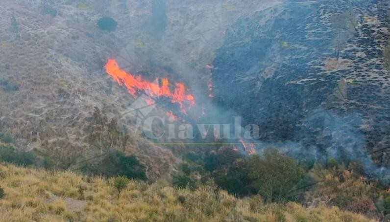 Altro incendio a Caulonia, sul posto la Protezione Civile