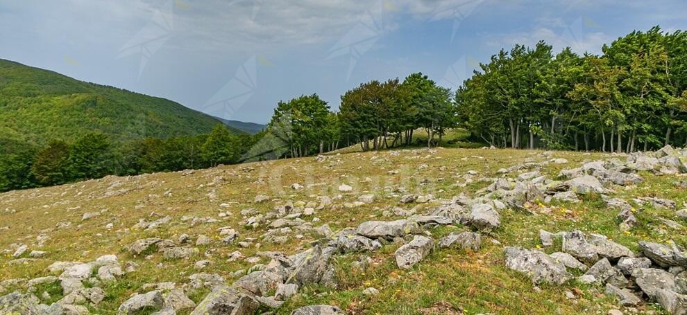 L’associazione Gente in Aspromonte organizza una visita alla Muraglia di Monte Fistocchìo