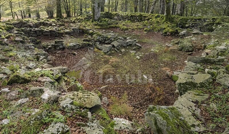 L’associazione Gente in Aspromonte organizza un’escursione alla Muraglia di Monte Palazzo