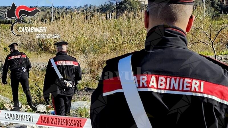 Beccato mentre tenta di appiccare un incendio boschivo in provincia di Reggio, arrestato