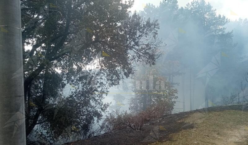 Incendio a Ziia di Caulonia, interviene la protezione civile: bruciate alcune case, esplode una bombola