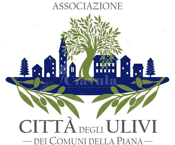 L’assemblea dei sindaci “Città degli Ulivi dei Comuni della Piana” cambia statuto