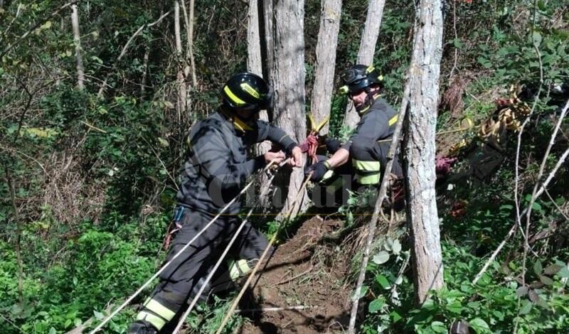 Cane da caccia scivola in un dirupo: salvato dai Vigili del Fuoco