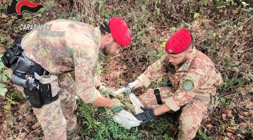 60 Carabinieri impegnati nella Locride alla ricerca di armi e stupefacenti. Perquisizioni ad Africo e Brancaleone