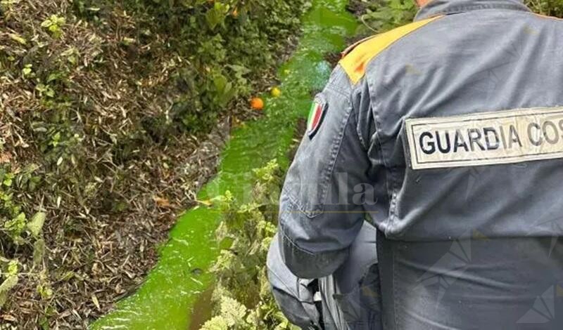 Sequestrato un frantoio in provincia di Reggio: sversava le acque di scarto in un torrente