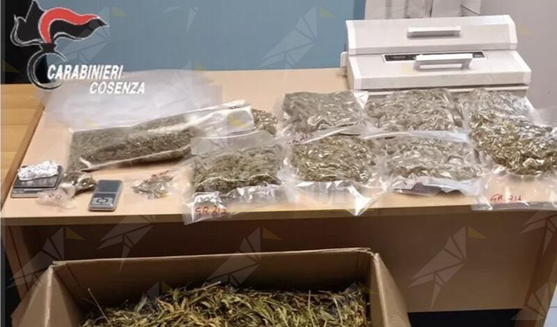 Trovati con 2 chili di marijuana e 5 di cannabis, arrestata una coppia in Calabria