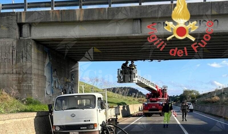 Calabria, camion con gru finisce contro un viadotto: ferito il conducente