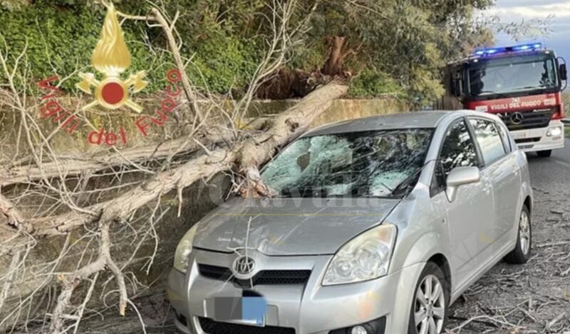 Albero cade su un’auto nel catanzarese, ferite le due persone a bordo