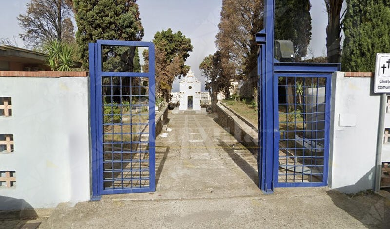 Albero cade sui loculi del cimitero di Bagnara Calabra a causa del maltempo