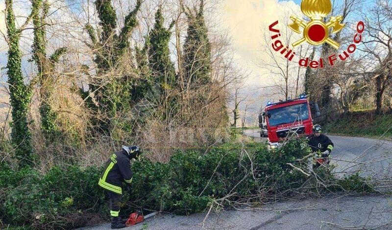 Vigili del Fuoco ancora a lavoro nel Vibonese: salgono a 45 gli interventi