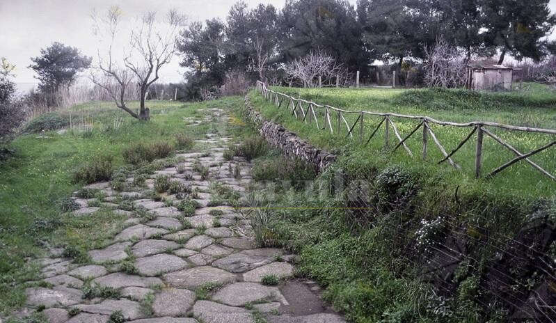 Gente in Aspromonte organizza un’escursione al “Lastricatu del Parco di Taureana”