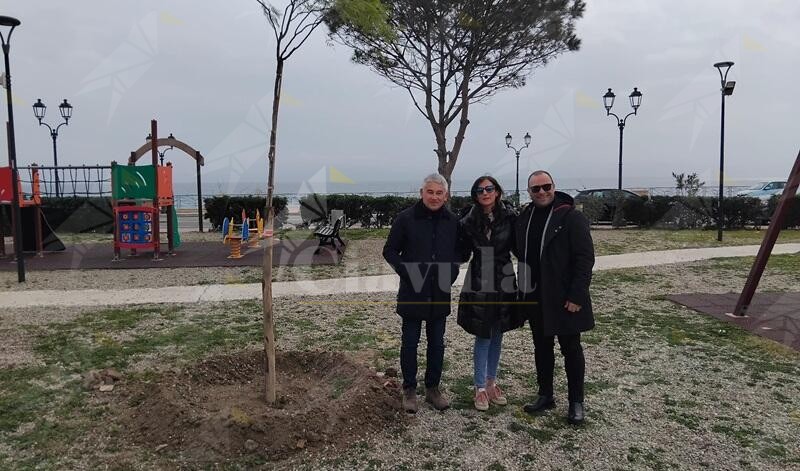 L’area fitness di Siderno si arricchisce di alberi e siepi