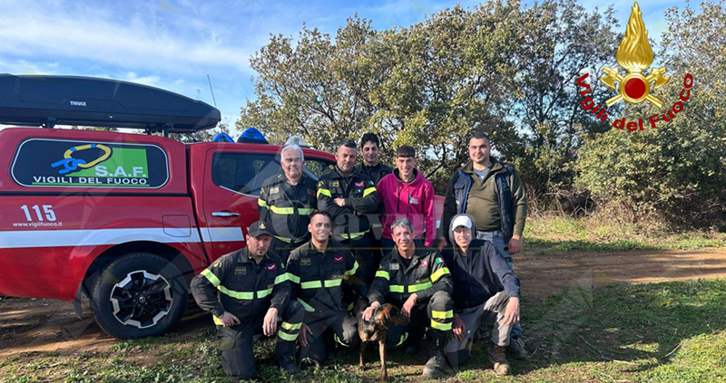 Cane precipita da un dirupo a Vibo Valentia. Recuperato dai Vigili del Fuoco