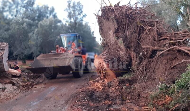 Emergenza maltempo, numerosi interventi per il ripristino delle strade della provincia di Reggio