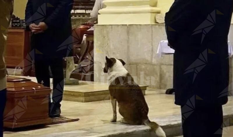 È morta Sally, la cagnolina che partecipava ai funerali. Le sarà dedicato un monumento