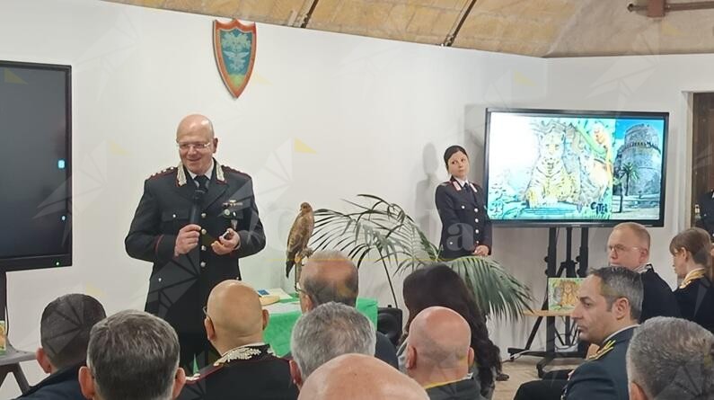 Carabinieri forestali: un anno di attività per il contrasto agli illeciti ambientali