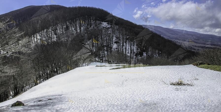 Una domenica sulla neve a Piano Tabaccari con Gente in Aspromonte