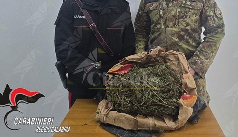 Sequestrato un chilo e mezzo di marijuana in provincia di Reggio Calabria