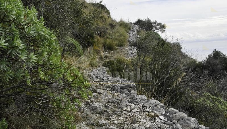 Gente in Aspromonte organizza un’escursione sul “Monte Nafruso”