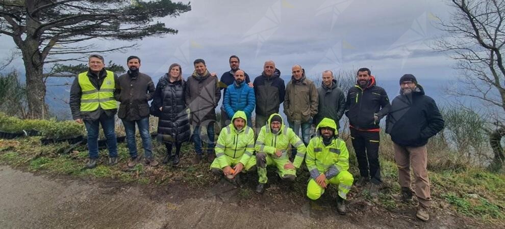 Proseguono i lavori di riforestazione della Città Metropolitana sul Monte Sant’Elia di Palmi