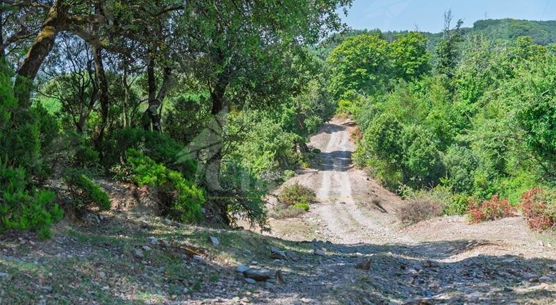 Gente in Aspromonte organizza un’escursione “A mulattera dell’Acquedotto”