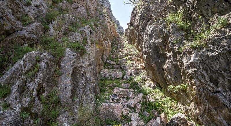 Visita la “Scaletta di Mammicomito” con l’associazione escursionistica Gente in Aspromonte